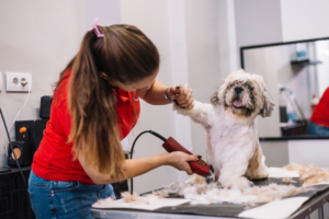 dog grooming with dog clippers