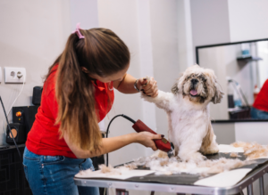 dog grooming with dog clippers