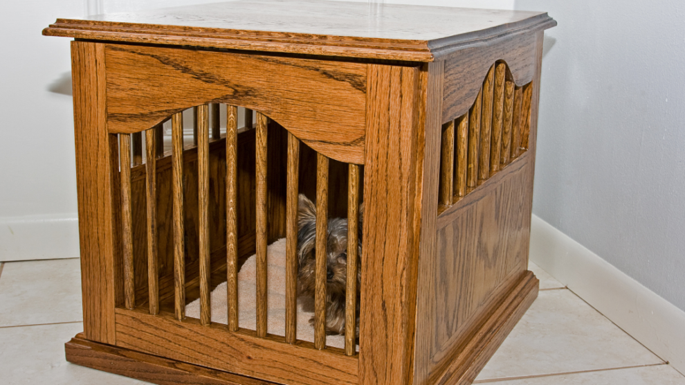 dog in dog crate furniture