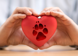 dog paw print display