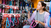 selecting a dog harness