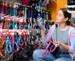 selecting a dog harness