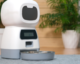 slow feeder dog bowl